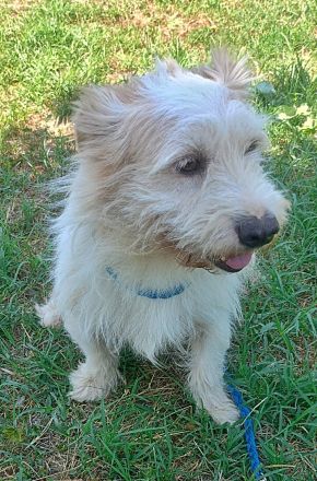 Sancho, lieb und nett