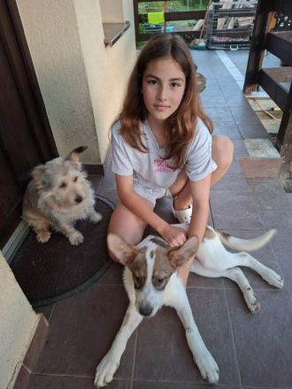 Süße Ayla sucht liebevolle Familie