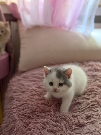 Unsere süßen Bärchen suchen ihr Kuschelpersonal