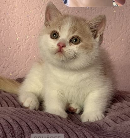Unsere süßen Bärchen suchen ihr Kuschelpersonal