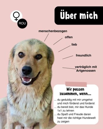 LUNA - von der Tötung ins Leben