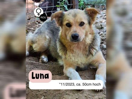 LUNA - von der Tötung ins Leben