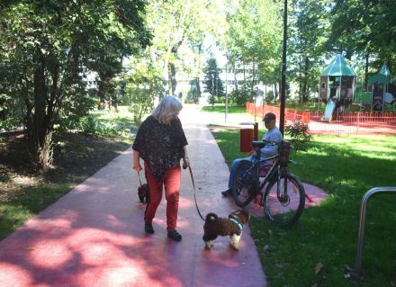 Spanischer Wasserhund - Welpen mit FCI Papieren.