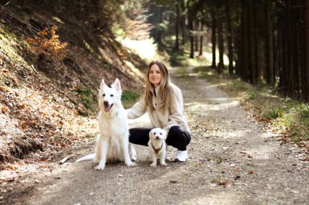 Hundeschule Silvia Helbig – Mobiles Hundetraining im Rhein-Neckar-Kreis