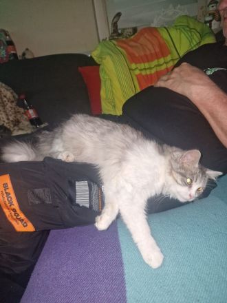 Phillip sucht ein neues zuhause