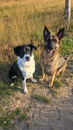 Liebevolle Hände gesucht ❤️
