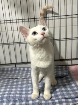Casper