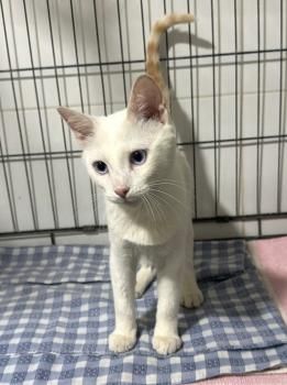 Casper