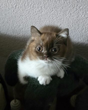 BKH Mädchen