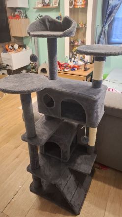 Verschmuste Katze