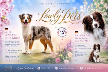 Lowly Pets