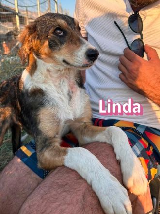 Linda, 03/26 - bezauberndes Mädel sucht Familie