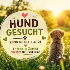 ❗️SUCHEN❗️Hund zu "kaufen"