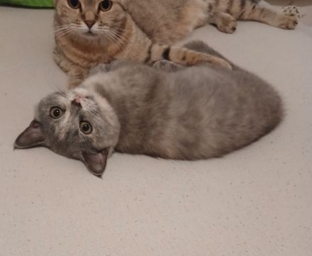 Bkh Bärchen die letzte ist noch auf der suche !❤️