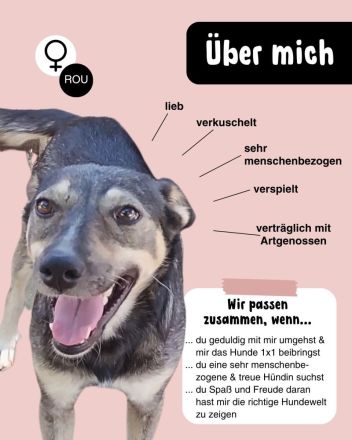 Frohnatur ROMY