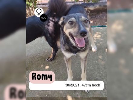 Frohnatur ROMY