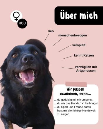 Liebevolle MAYA