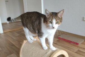 Kira und Bubi