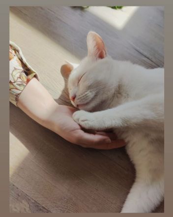 Nanouk sucht Zuhause