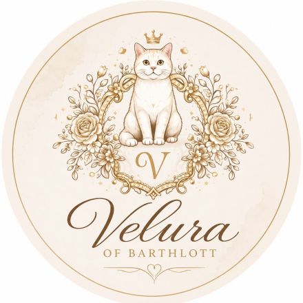 Veluraofbarthlott