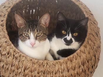 Zoe und Lucca