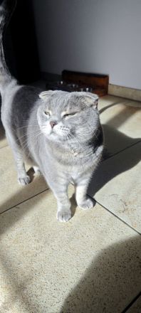 Mia Sucht neues Zuhause