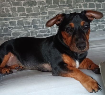 **🩷Kleine Prinzessin sucht Königreich🩷**