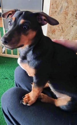 **🩷Kleine Prinzessin sucht Königreich🩷**