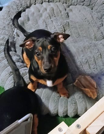 **🩷Kleine Prinzessin sucht Königreich🩷**
