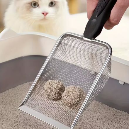 Minka & Tiger – liebevolles Katzenpaar mit kompletter Ausstattung