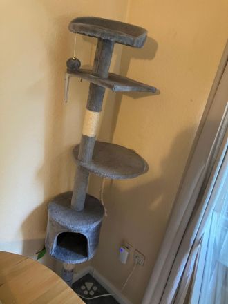 Minka & Tiger – liebevolles Katzenpaar mit kompletter Ausstattung