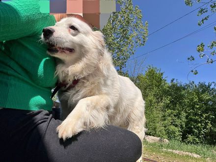 Jenny, freundlich und menschenbezogen