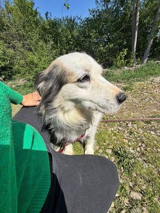 Jenny, freundlich und menschenbezogen