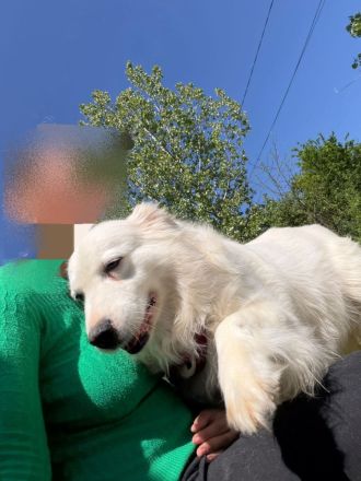 Jenny, freundlich und menschenbezogen