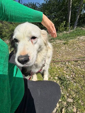 Jenny, freundlich und menschenbezogen