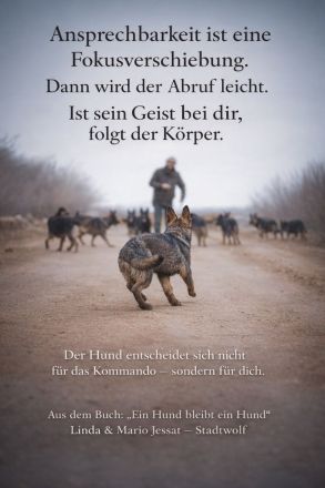 Isabell Nitsche - Stadtwolf-Hundetraining