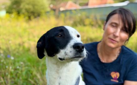 Sportliche und liebenswerte Merope sucht Familienanschluss