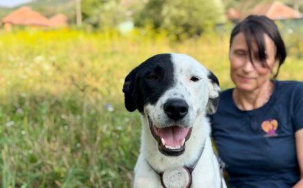 Sportliche und liebenswerte Merope sucht Familienanschluss