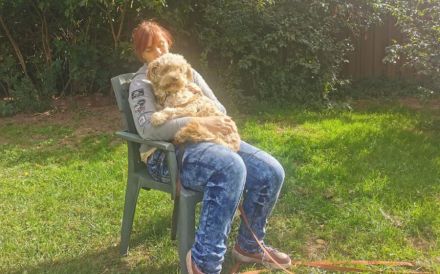 Zuhause gesucht für Resi