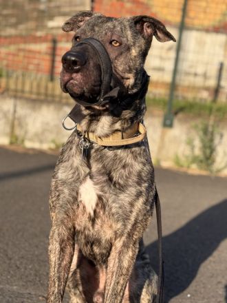Apollo sucht sein Glück 🍀