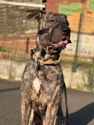 Apollo sucht sein Glück 🍀