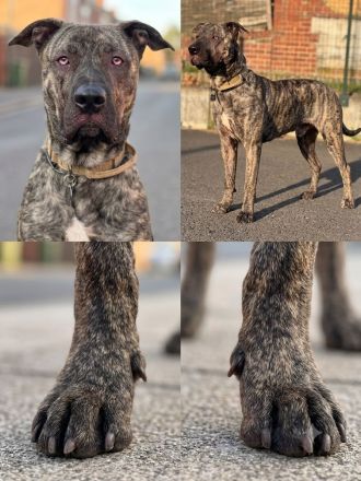 Apollo sucht sein Glück 🍀