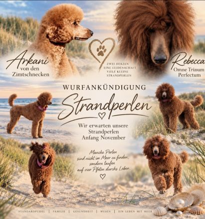 Von den Strandperlen