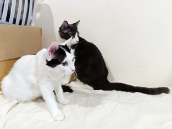 Coco und Oliver