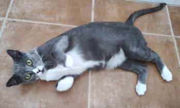 Ilda