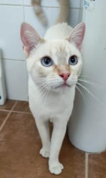 Casper