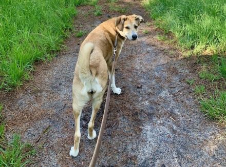 Polly sucht ihren sicheren Hafen