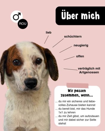 WILLI möchte die Welt entdecken
