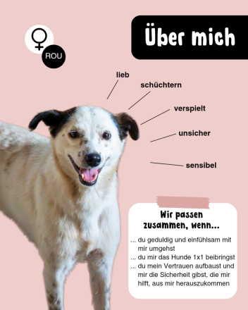 BEA - endlich frei