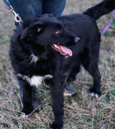 Mayu, Black ist beautiful !